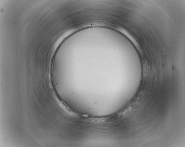 X0000070430861200606302124