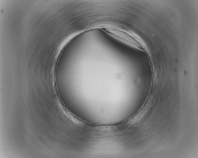 X0000070430862200606302124