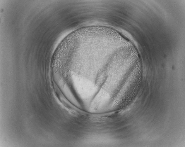 X0000070430863200606302124