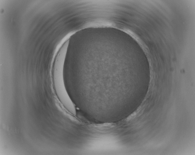 X0000070430864200606302124