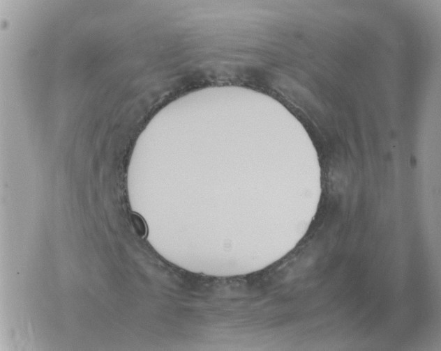 X0000070430865200606302124