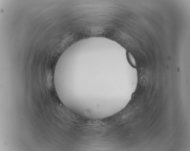 X0000070430866200606302124