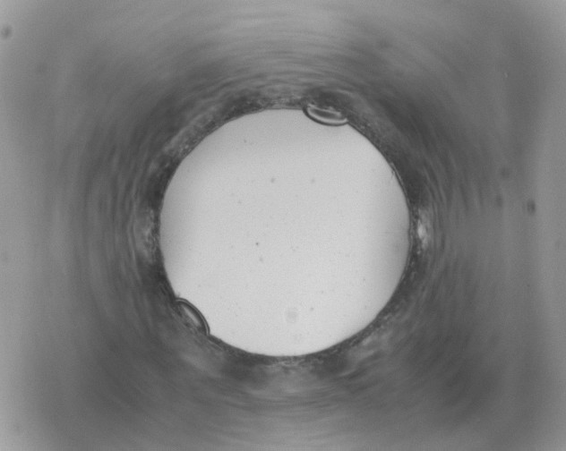 X0000070430867200606302124