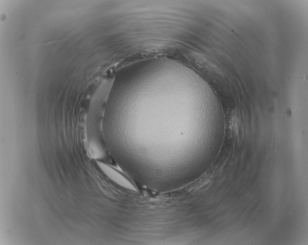 X0000070430868200606302124