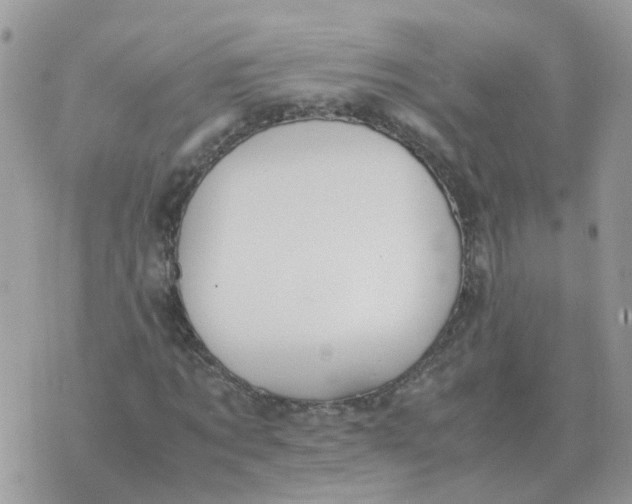 X0000070430869200606302124