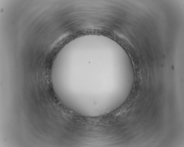 X0000070430870200606302124