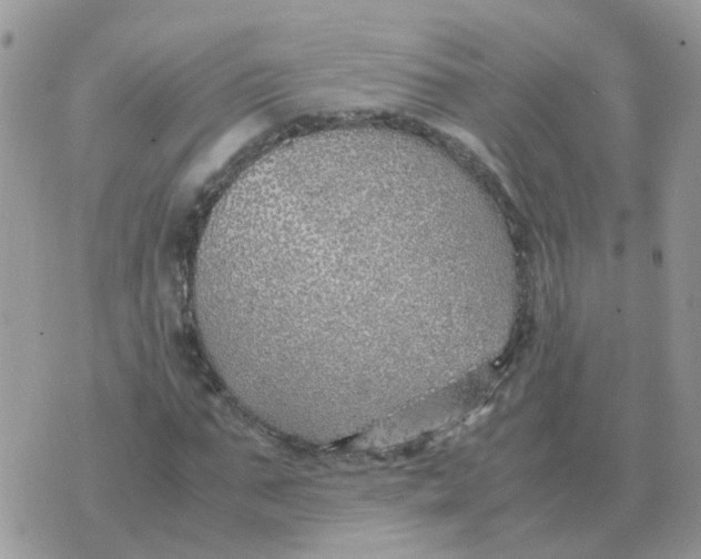 X0000070430871200606302124