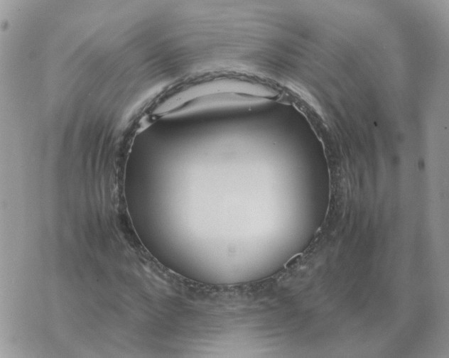 X0000070430872200606302124