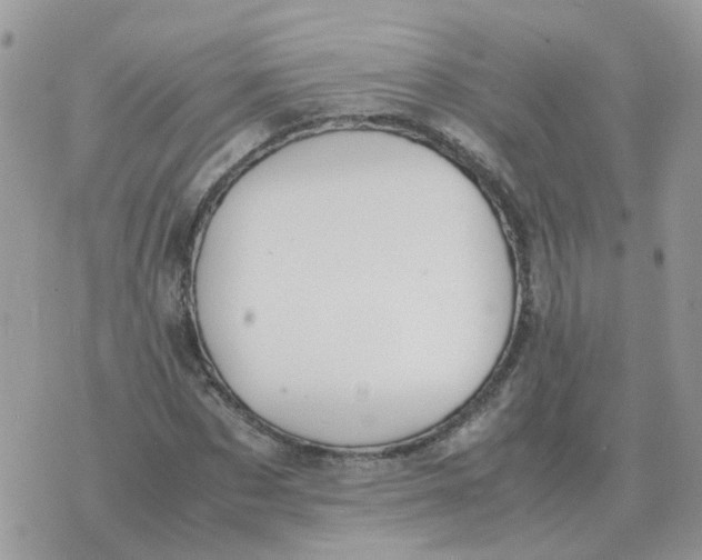 X0000070430873200606302124