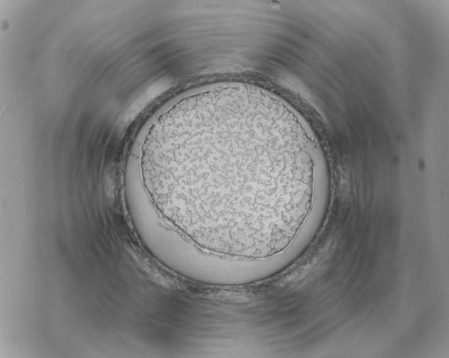 X0000070430874200606302124