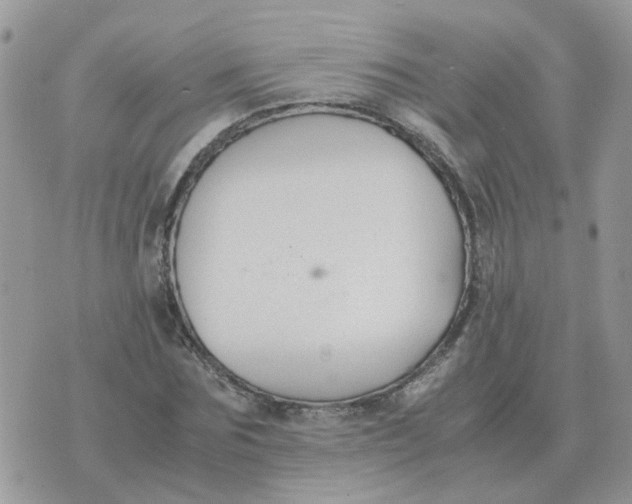 X0000070430875200606302124