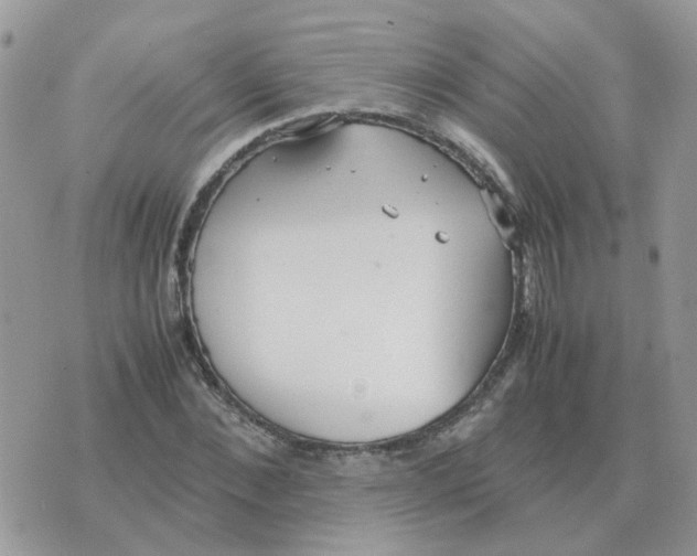 X0000070430876200606302123