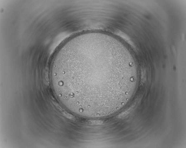 X0000070430878200606302123