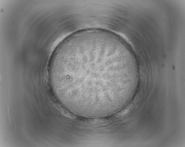 X0000070430879200606302123