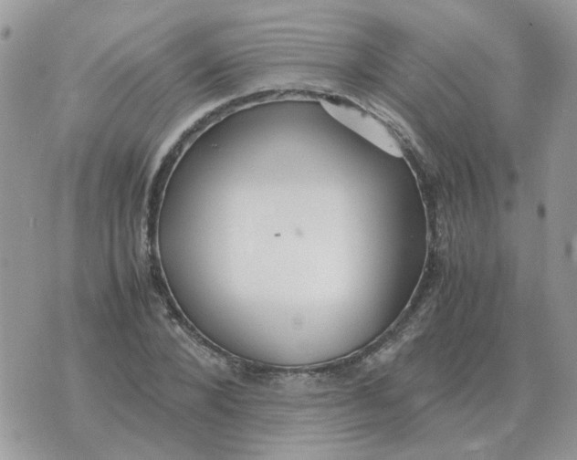 X0000070430880200606302123