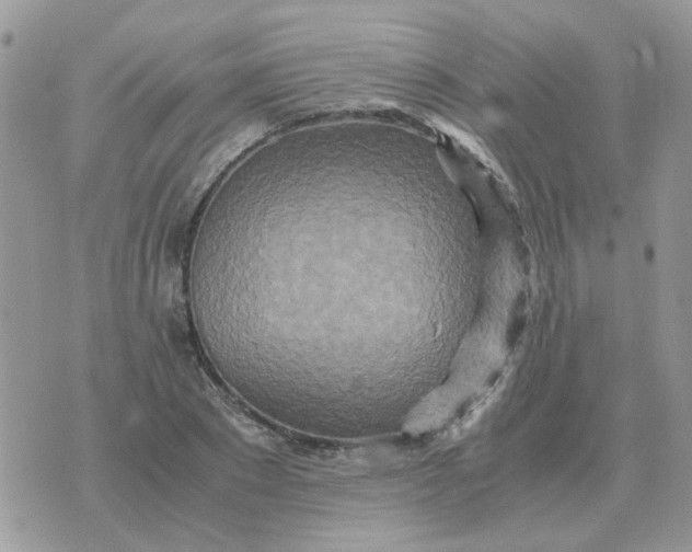 X0000070430881200606302123