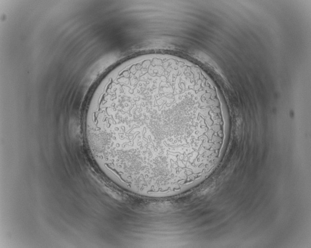 X0000070430882200606302123