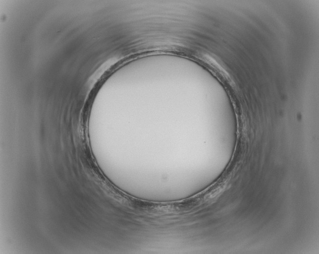 X0000070430883200606302123