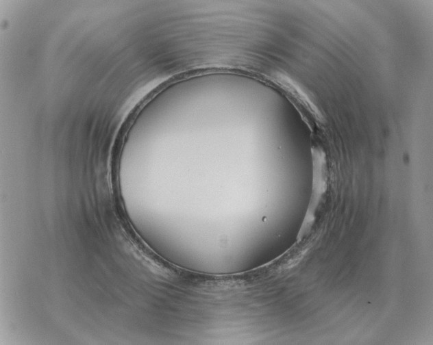 X0000070430884200606302123