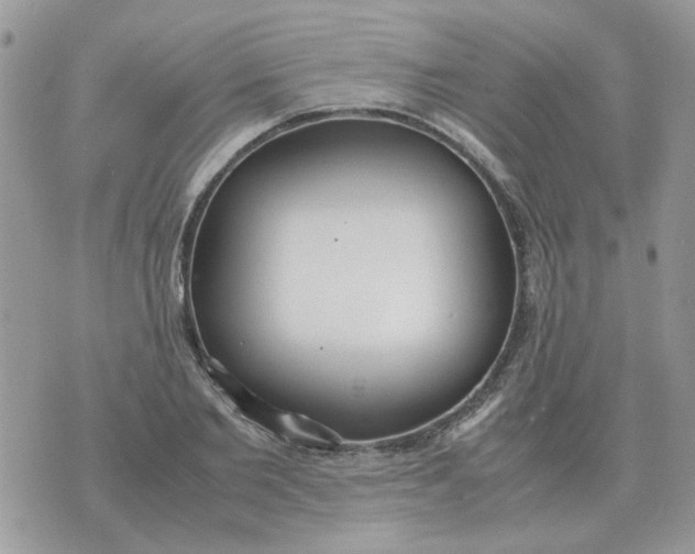 X0000070430885200606302123