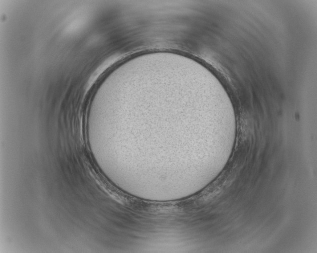 X0000070430886200606302123