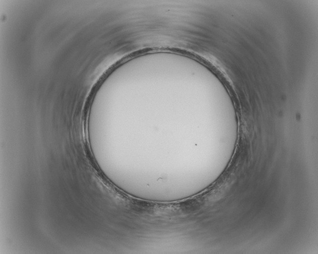 X0000070430887200606302123