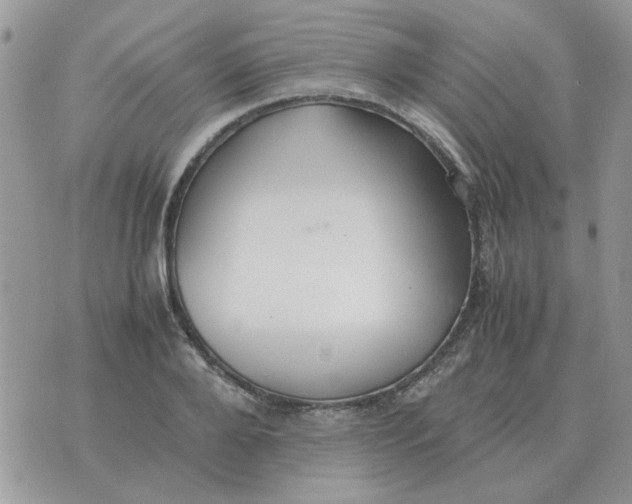 X0000070430888200606302123