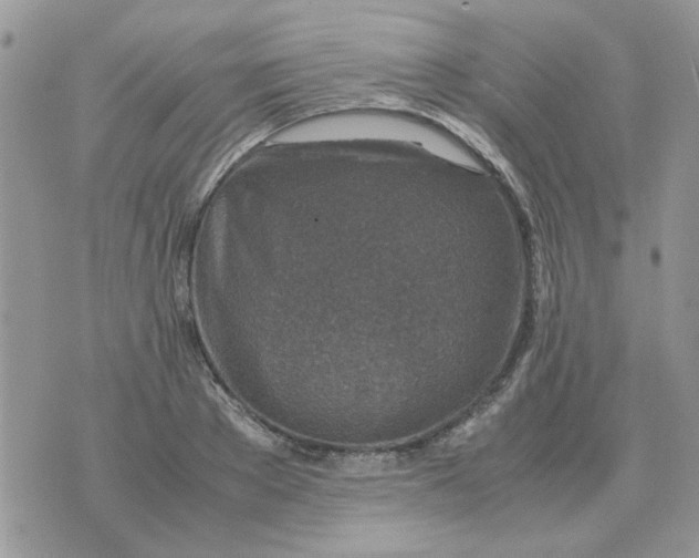 X0000070430889200606302123