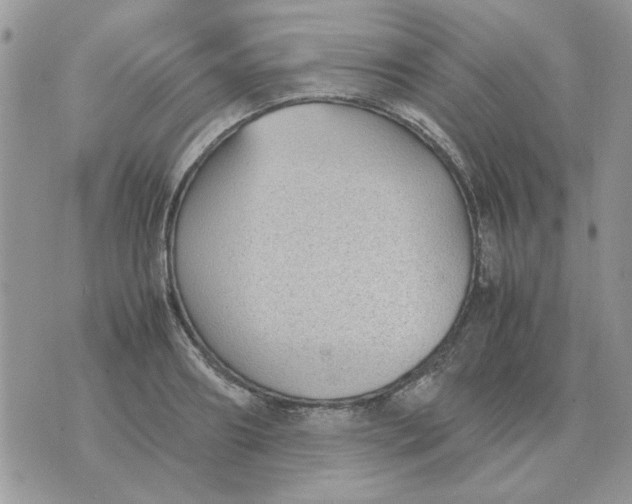 X0000070430890200606302123