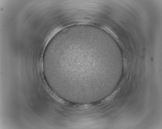 X0000070430891200606302123