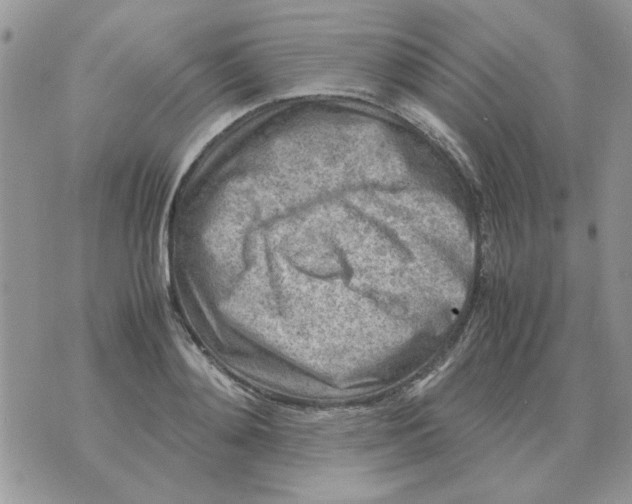 X0000070430892200606302123