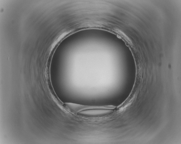 X0000070430893200606302123