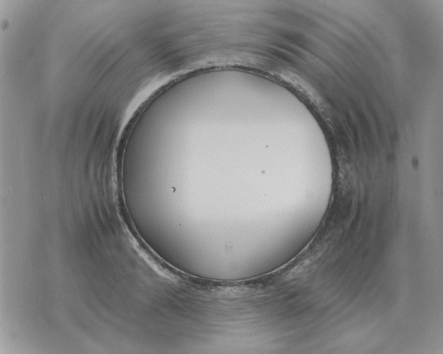 X0000070430894200606302123