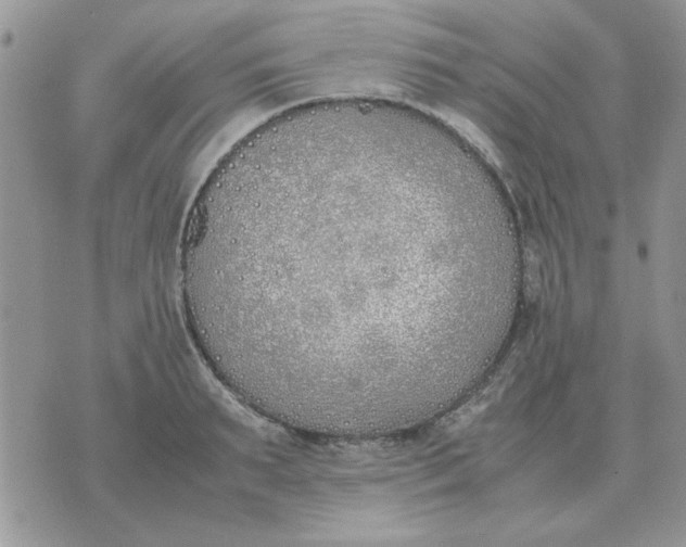 X0000070430895200606302123