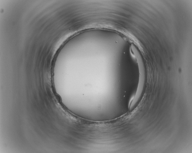 X0000070430896200606302123