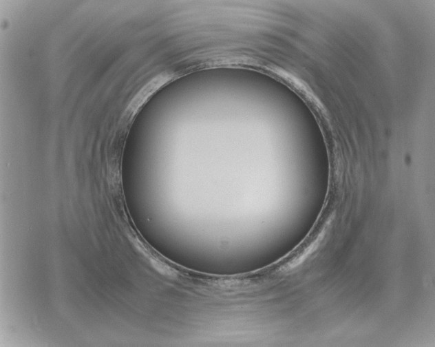 X0000070430897200606302123