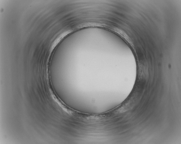 X0000070430898200606302123