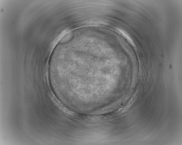 X0000070430899200606302123