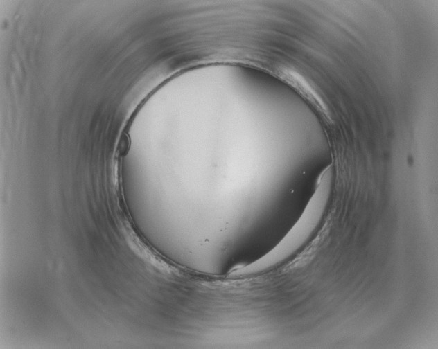 X0000070430900200606302123