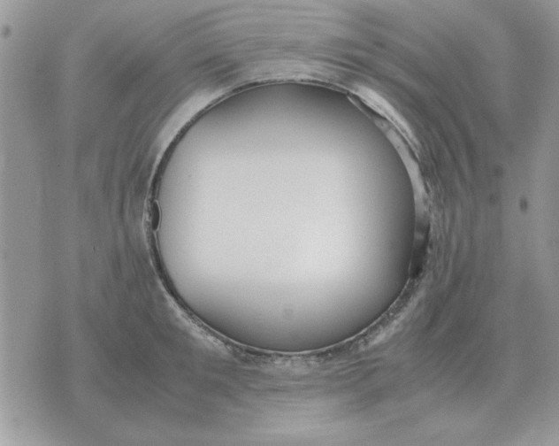 X0000070430901200606302123