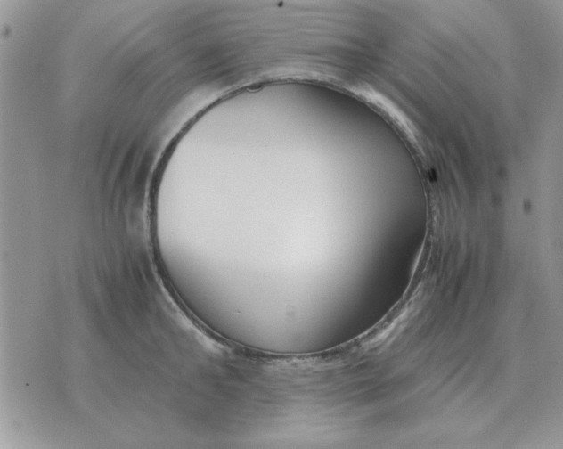 X0000070430902200606302123