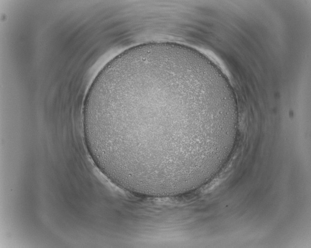 X0000070430903200606302123