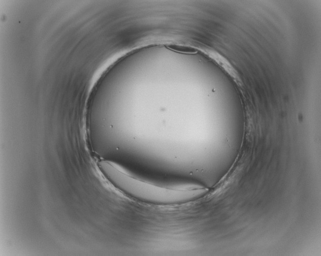 X0000070430904200606302123