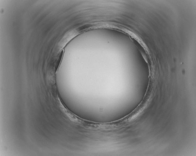 X0000070430905200606302123