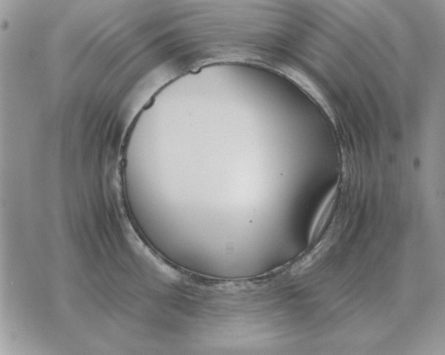 X0000070430906200606302123