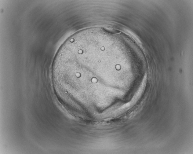 X0000070430907200606302123