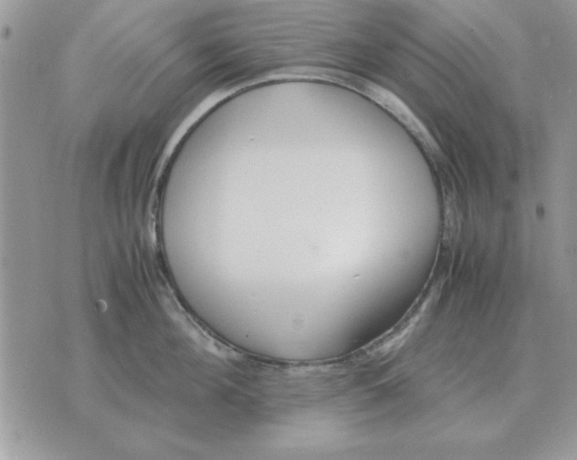 X0000070430908200606302123