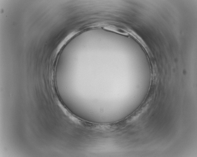 X0000070430909200606302123