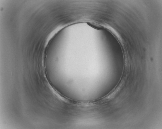 X0000070430910200606302123