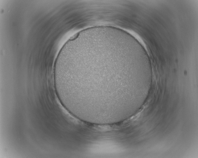 X0000070430911200606302123